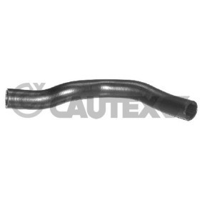 Comprar Tubería de radiador de CAUTEX 753468 a bajo precio de 29,60 €