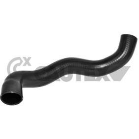 Kühlerschlauch 754283 von CAUTEX günstig für 55,03 € online kaufen