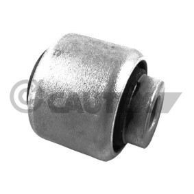 Compre Suspensão, corpo do eixo da CAUTEX 759603 a um preço baixo por 11,30 €