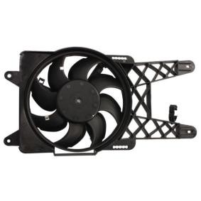 Acquista Ventola radiatore da THERMOTEC online per Seicento / 600 Hatchback (187_) a prezzi moderati