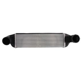 Acquista Intercooler da THERMOTEC DAB016TT a buon mercato per soli 130,28 €