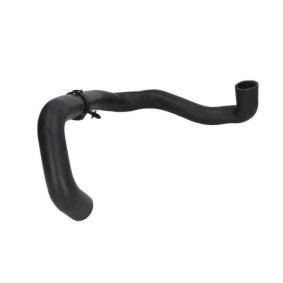 Kühlerschlauch DWW354TT von THERMOTEC günstig für 16,09 € online kaufen