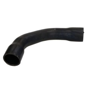 Compre Manguito de radiador de THERMOTEC online para SUNNY II (N13) a precios moderados