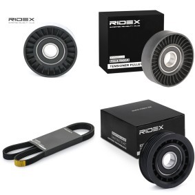 Acquista Kit Cinghie Poly-V da RIDEX 542R0651 a buon mercato per soli 46,89 €