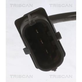 Spannrolle, Keilrippenriemen 8641 103056 von TRISCAN günstig für 88,91 € online kaufen