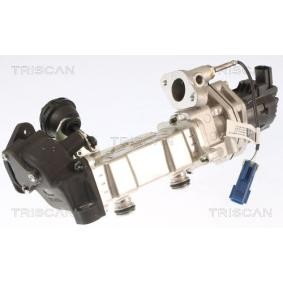 Compre Válvula EGR da TRISCAN 8813 15001 a um preço baixo por 1873,08 €