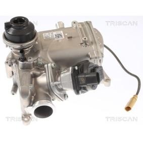 Achetez des Vanne EGR TRISCAN 8813 29008 à prix pour 971,91 €