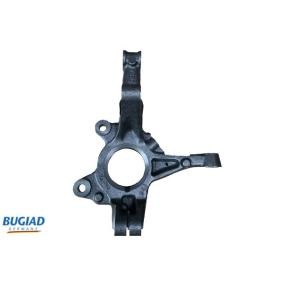 Compre Mangueta de BUGIAD online para SANDERO II a precios moderados