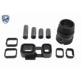 Acquista Kit guarnizioni, Cambio automatico da VAICO V20-3770-XXL a buon mercato per soli 64,23 €