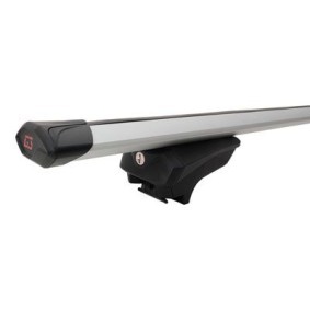 Compre Armação do montante do tecto de RAMEDER online para Sandero III (BJI) a preços moderados