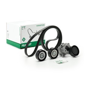Compre Jogo de correia trapezoidal estriada de INA online para CLS (C218) a preços moderados