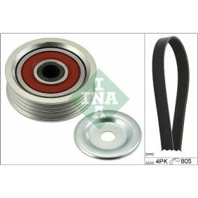 Compre Jogo de correias trapezoidais estriadas da INA 529 0481 10 a um preço baixo por 46,85 €