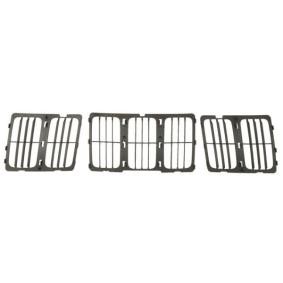 Kühlergrill 6502-07-3206993BP von BLIC günstig für 34,43 € online kaufen