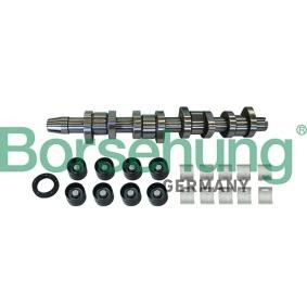 Nockenwellensatz B11307 von Borsehung günstig für 357,06 € online kaufen