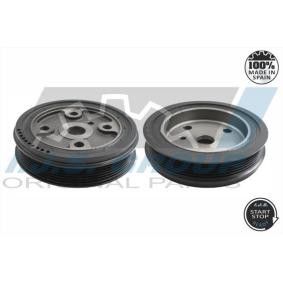 Compre Polia, cambota da IJS GROUP 17-1238 a um preço baixo por 84,41 €