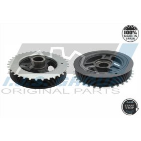 Compre Polia, cambota da IJS GROUP 17-1259 a um preço baixo por 67,45 €