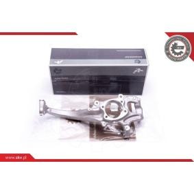 Comprar Mangueta de suspensión de ESEN SKV 47SKV291 a bajo precio de 409,12 €