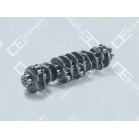 Compre Cambota da OE Germany 02 0300 083601 a um preço baixo por 1553,28 €