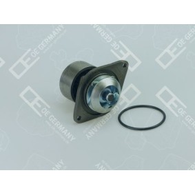 Compre Bomba de água da OE Germany 06 2000 F45000 a um preço baixo por 64,09 €
