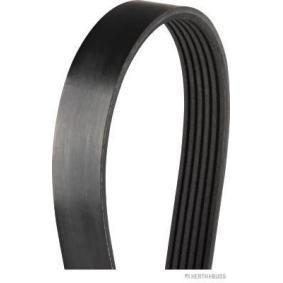 Comprar Correa trapecial poli V de HERTH+BUSS JAKOPARTS J1060890 a bajo precio de 6,85 €