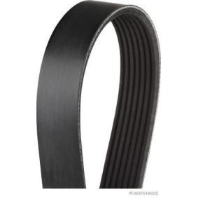 Comprar Correa trapecial poli V de HERTH+BUSS JAKOPARTS J1071675 a bajo precio de 14,79 €
