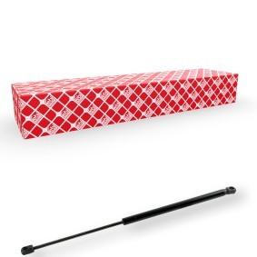 Heckklappendämpfer 174343 von FEBI BILSTEIN günstig für 26,77 € online kaufen