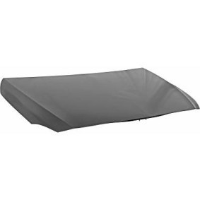 Compre Capó de DIEDERICHS online para Clase A (W176) a precios moderados