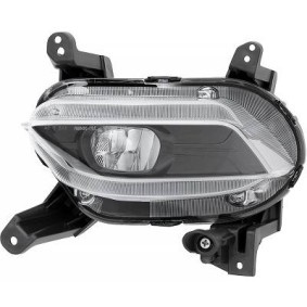 Compre Farol de nevoeiro de DIEDERICHS online para Santa Fé III (DM) a preços moderados