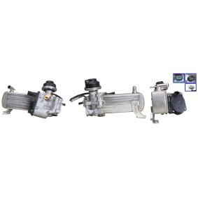 Compre Válvula EGR da DRI 717730434 a um preço baixo por 393,63 €