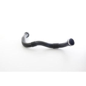 Compre Tubo flexível do ar de sobrealimentação da BSG BSG 65-700-607 a um preço baixo por 89,13 €