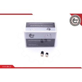 Acquista Centralina, Cambio automatico da ESEN SKV 17SKV470 a buon mercato per soli 115,64 €