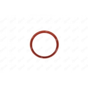 Compre Retentor, tubo do ar de sobrealimentação da IBRAS 11619 a um preço baixo por 10,17 €