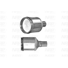 Compre Catalisador da NAP carparts CAK11079 a um preço baixo por 665,02 €