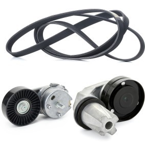 Achetez des Kit de courroie d'accessoire de chez RIDEX en ligne pour Discovery IV (L319) à prix modérés