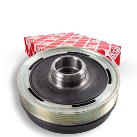 Compre Polia, cambota da FEBI BILSTEIN 174931 a um preço baixo por 176,96 €
