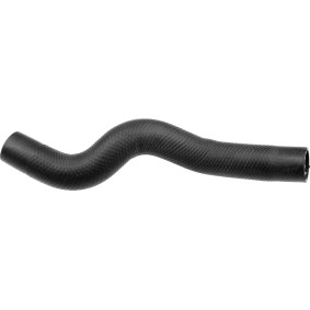 Kühlerschlauch R41155 von RAPRO günstig für 7,35 € online kaufen