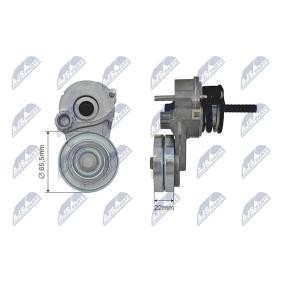 Spannrolle, Keilrippenriemen RNK-PL-027 von NTY günstig für 45,70 € online kaufen