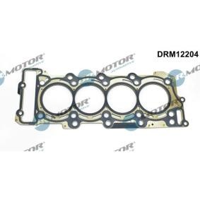 Acquista Guarnizione testata da DR.MOTOR AUTOMOTIVE online per Classe A (W169) a prezzi moderati