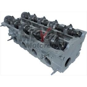 Achetez des Culasse de chez MEYER MOTOREN en ligne pour Focus Mk1 Berline (DNW) à prix modérés