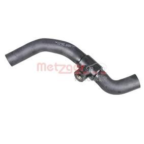 Compre Manguito de radiador de METZGER online para Escort Mk5 Familiar (GAL) a precios moderados