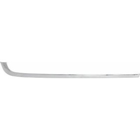 Acquista Modanatura paraurti da DIEDERICHS online per Classe S Sedan (W140) a prezzi moderati