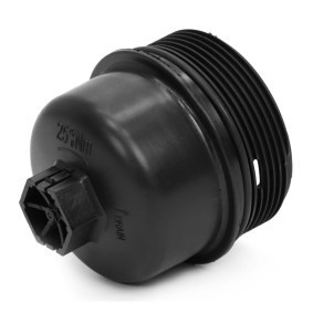 Köp Lock, oljefilterhus av MASTER-SPORT 641000160 till det låga priset 82,43 kr