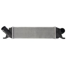 Comprar Intercooler de THERMOTEC DA05012TT a bajo precio de 184,84 €