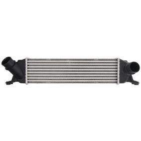 Comprar Intercooler de THERMOTEC DA05013TT a bajo precio de 176,64 €