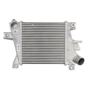 Ladeluftkühler DA1011TT von THERMOTEC günstig für 143,69 € online kaufen