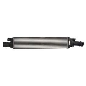 Compre Intercooler da THERMOTEC DAA030TT a um preço baixo por 102,88 €