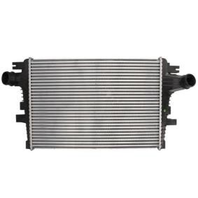 Acquista Intercooler da THERMOTEC DAD004TT a buon mercato per soli 227,51 €