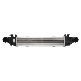 Ladeluftkühler DAM022TT von THERMOTEC günstig für 83,59 € online kaufen