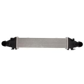 Ladeluftkühler DAM025TT von THERMOTEC günstig für 109,63 € online kaufen