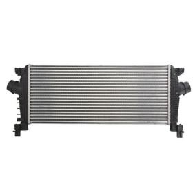 Köp Intercooler av THERMOTEC DAX026TT till det låga priset 1380,27 kr
